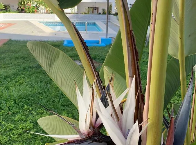 Сasa de vacaciones Casa María Nerja