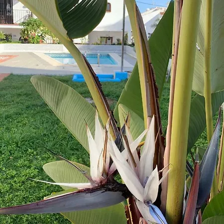 Vakantiehuis Casa Maria Nerja